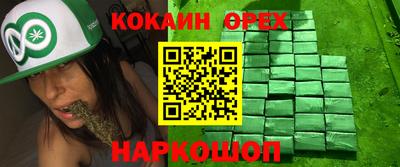 молекула духа Донской