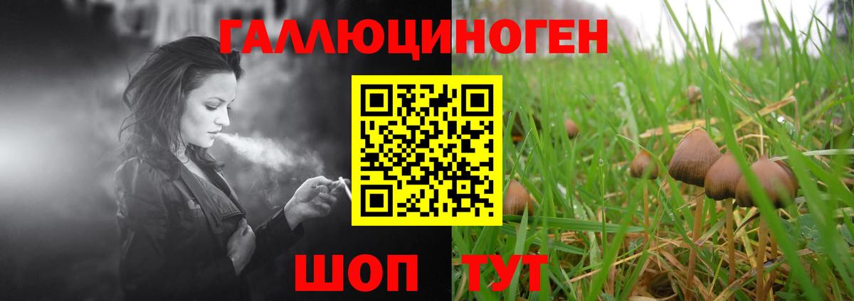 Солнечногорск  где найти   Вход с VPN  Галлюциногенные грибы мицелий 